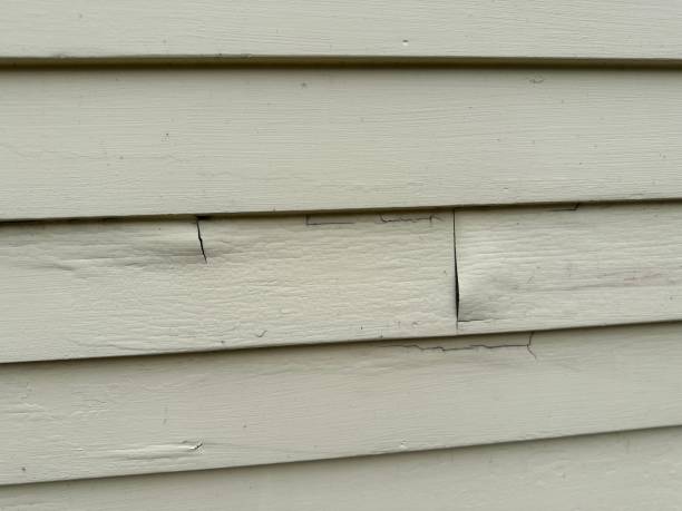 Professional Siding Installation & Repair in Westmont, NJ